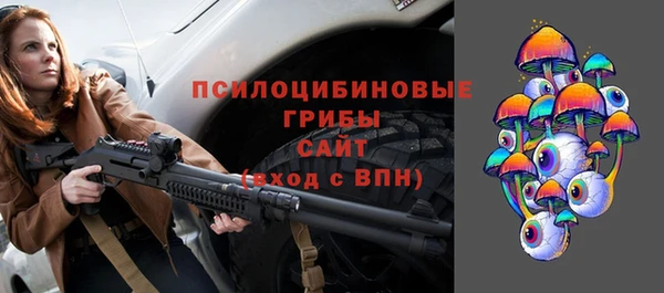 COCAINE Каменка