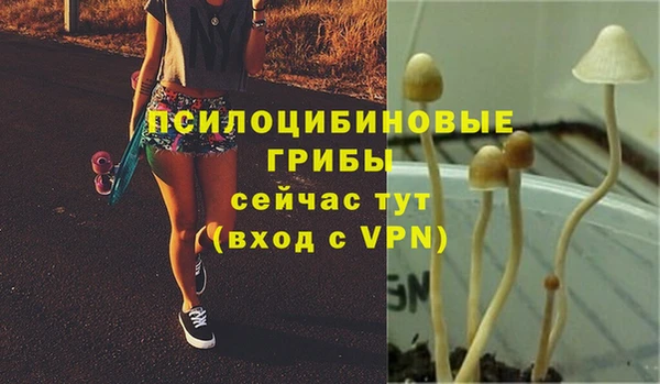 COCAINE Каменка