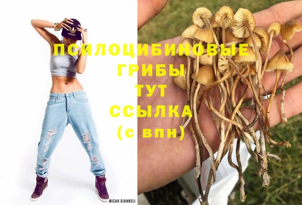 спиды Каменск-Шахтинский