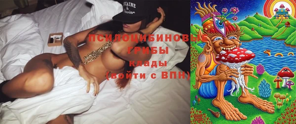 COCAINE Каменка