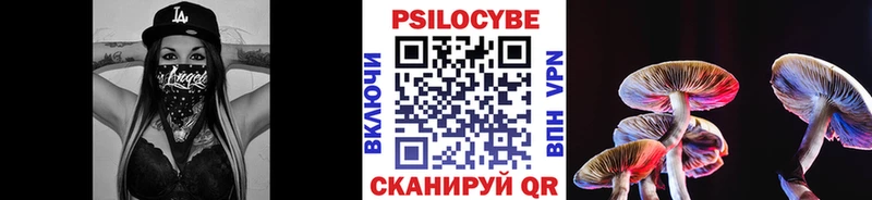 Купить где  Карачев  Псилоцибиновые грибы мицелий 